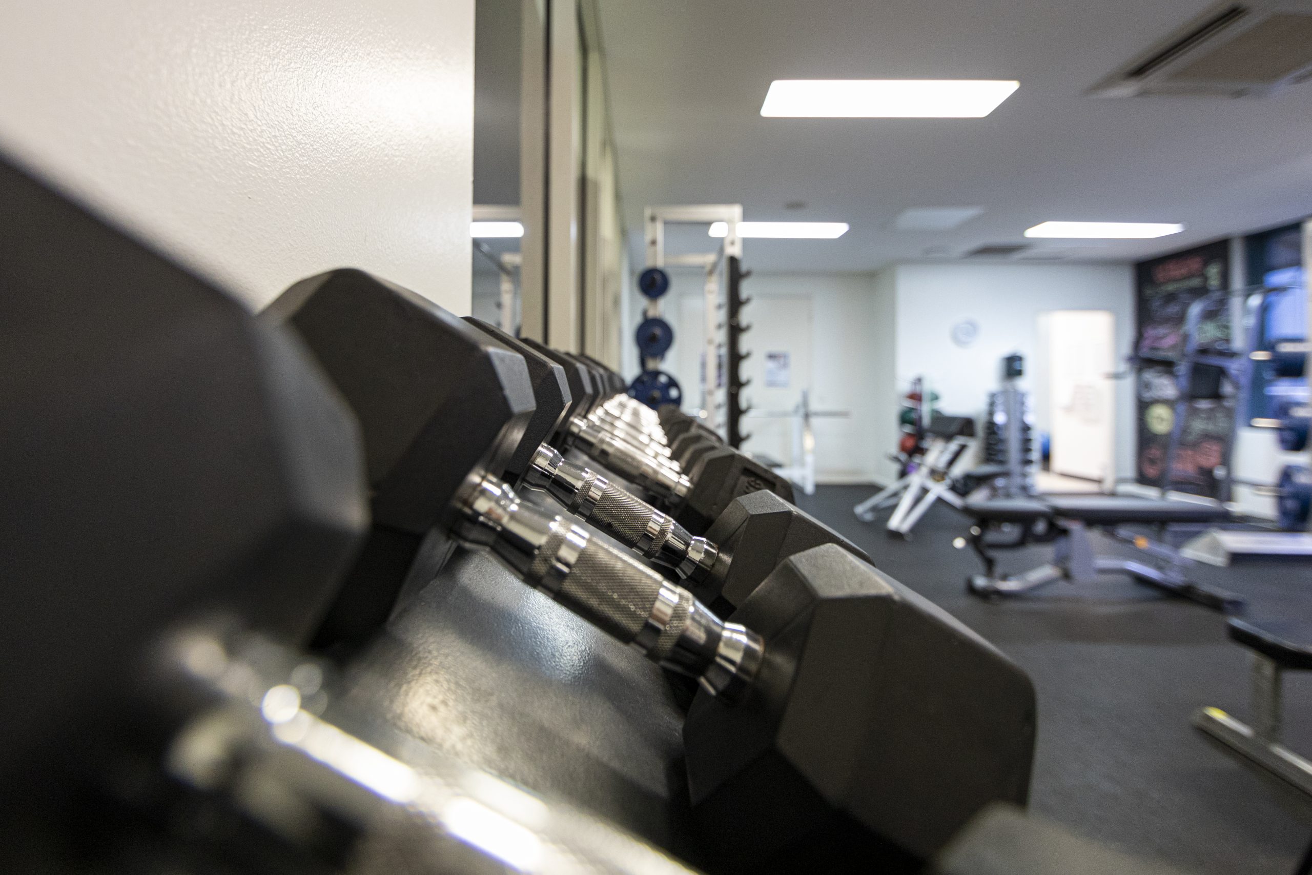 Close up of black dumbbells on rack